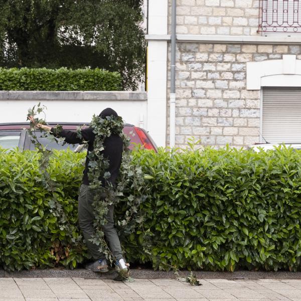 © Yves Petit Préambule à Bagatelle - Visuel 1
